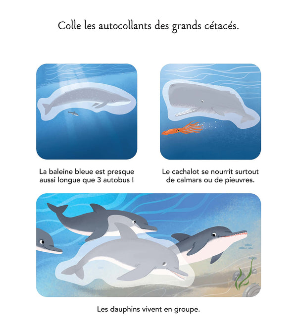 Les animaux de la mer