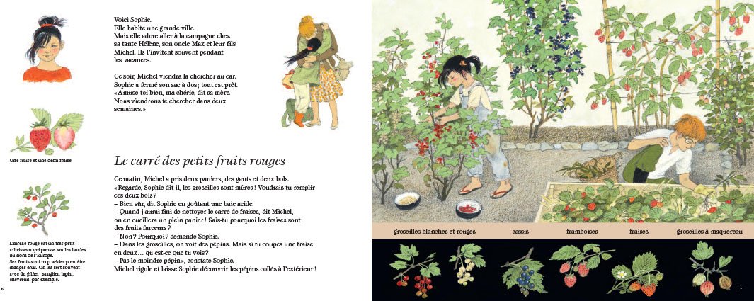 La fête des fruits - D'où viennent tous ces fruits que l'on mange ?