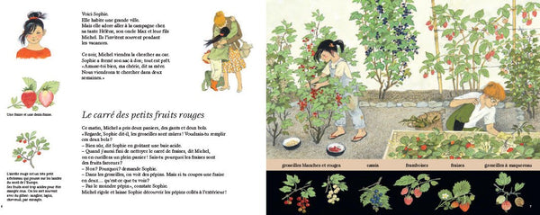 La fête des fruits - D'où viennent tous ces fruits que l'on mange ?