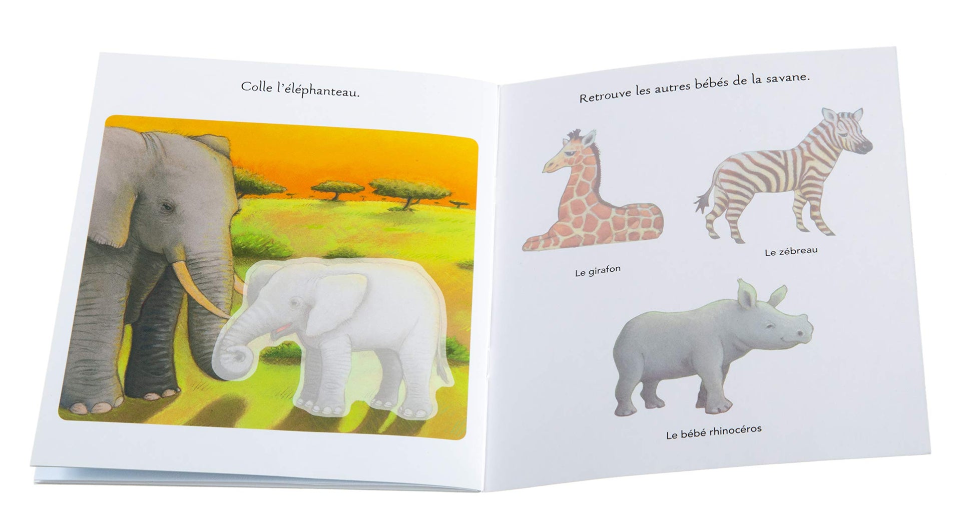 Les bébés animaux