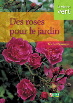 Roses au jardin