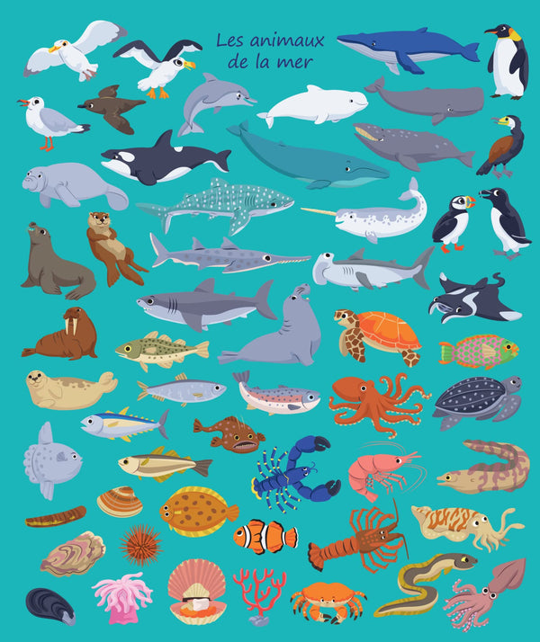 Mon imagier à colorier : les animaux de la mer