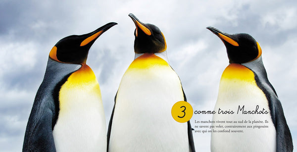 J'apprends les chiffres avec les animaux