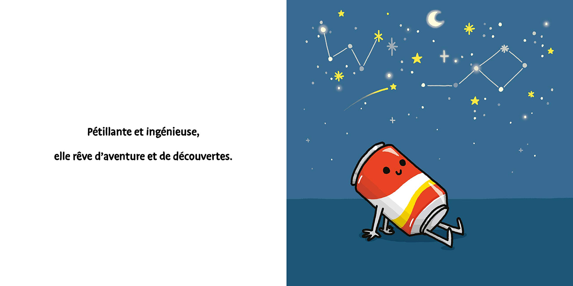 LES BIDULES CHOUETTES - AMEL LA CANETTE VISE LA LUNE