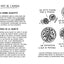 Apérikif - 60 recettes à partager