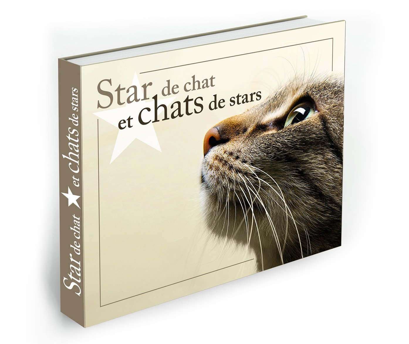 Star de chat et chats de stars