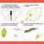 Les livres-ardoises - Les Cycles de vie Montessori
