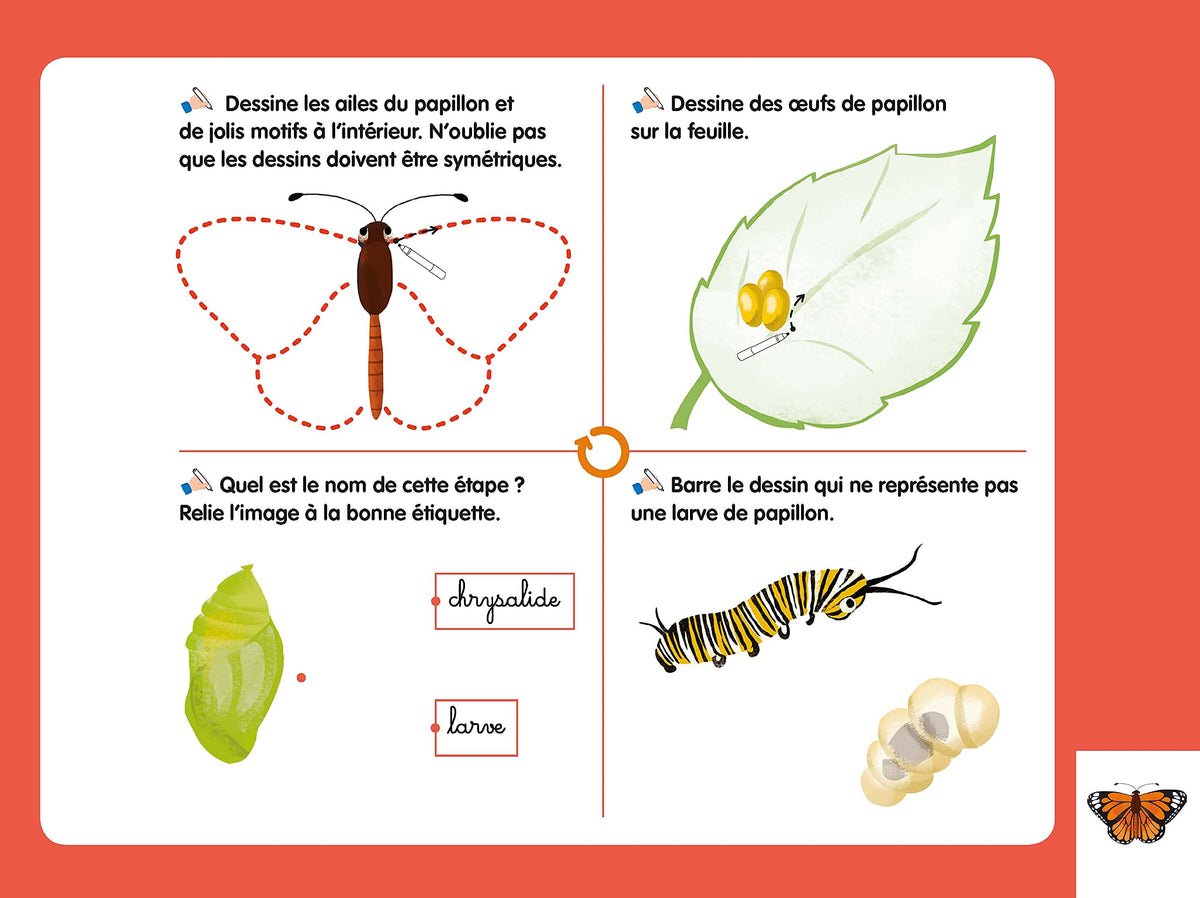 Les livres-ardoises - Les Cycles de vie Montessori