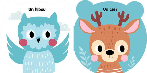 Jolies frimousses - Mes jolies frimousses de la forêt