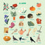 Mon tout premier cherche et trouve au jardin