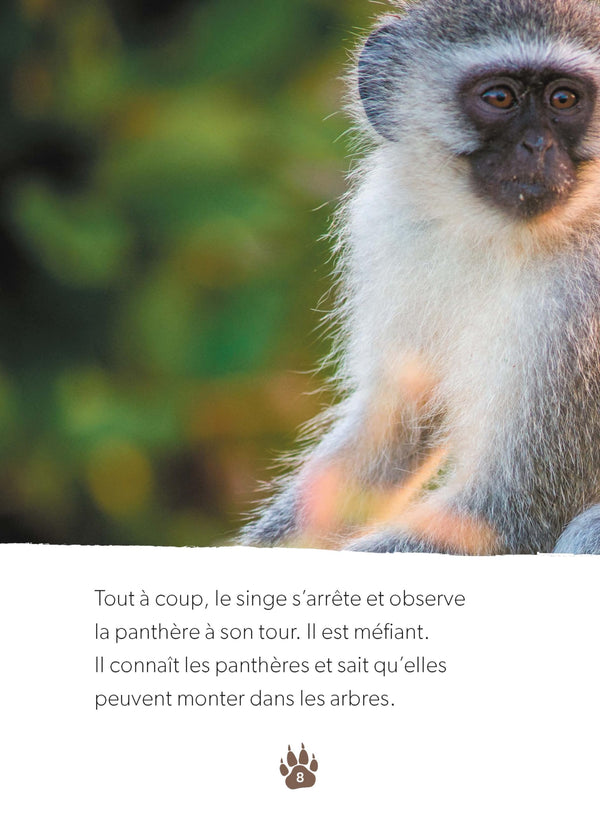 Une petite panthère acrobate