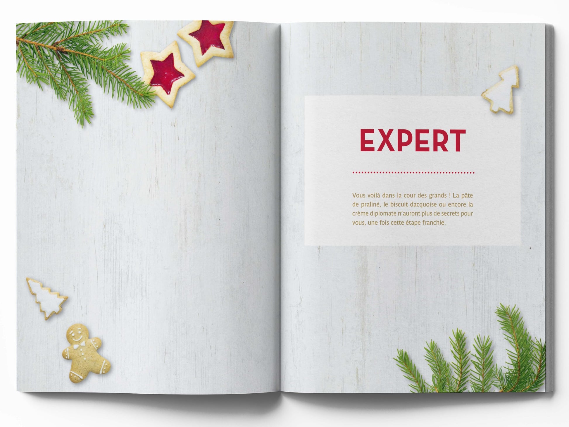 Gâteaux et biscuits de Noël: Du sablé à la bûche, toutes les techniques en pas à pas pour se régaler