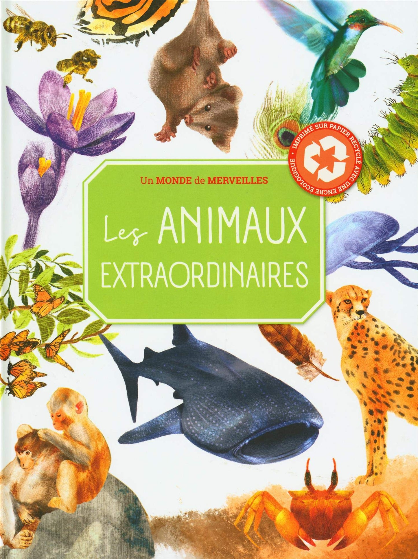 Les animaux extraordinaires