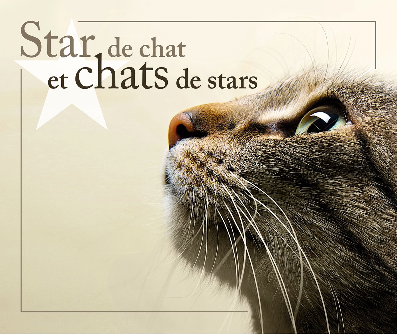 Star de chat et chats de stars