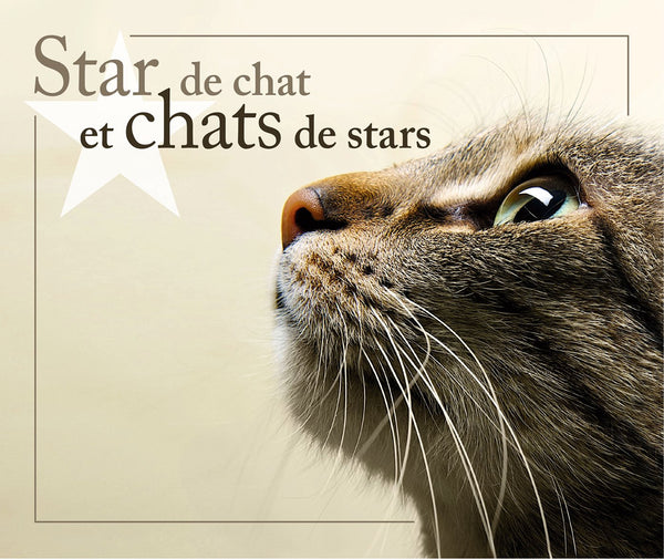 Star de chat et chats de stars