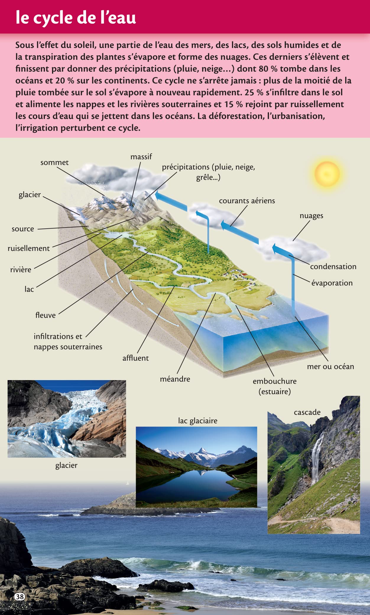 Dictionnaire Le Robert junior Poche - 7/11 ans - CE-CM-6e