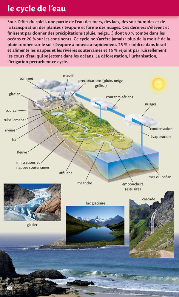Dictionnaire Le Robert junior Poche - 7/11 ans - CE-CM-6e