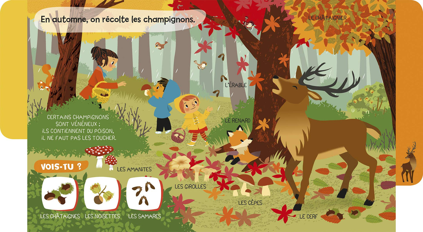 Baby doc : La forêt – Documentaire sonore avec 6 puces – À partir de 6 mois