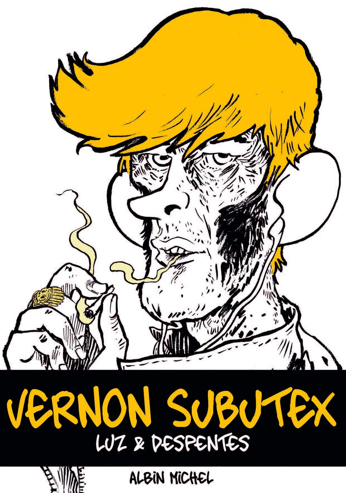 Vernon Subutex (BD) - Première partie