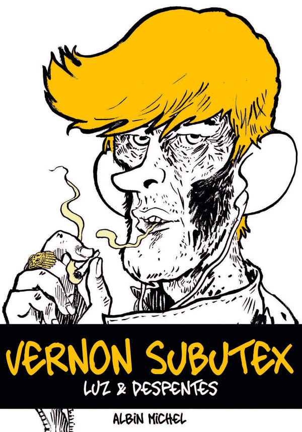 Vernon Subutex (BD) - Première partie