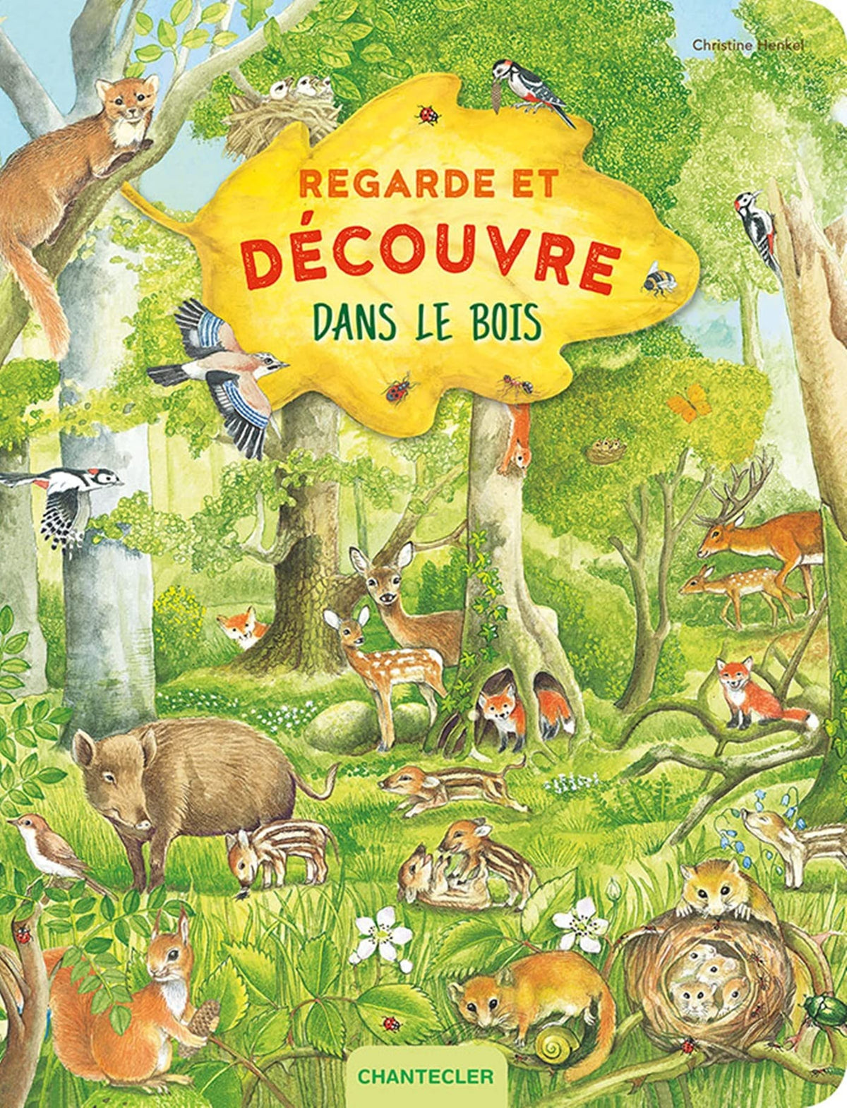 Regarde et découvre - Dans le bois