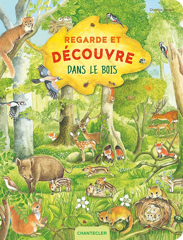 Regarde et découvre - Dans le bois