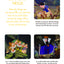 Les princesses Disney