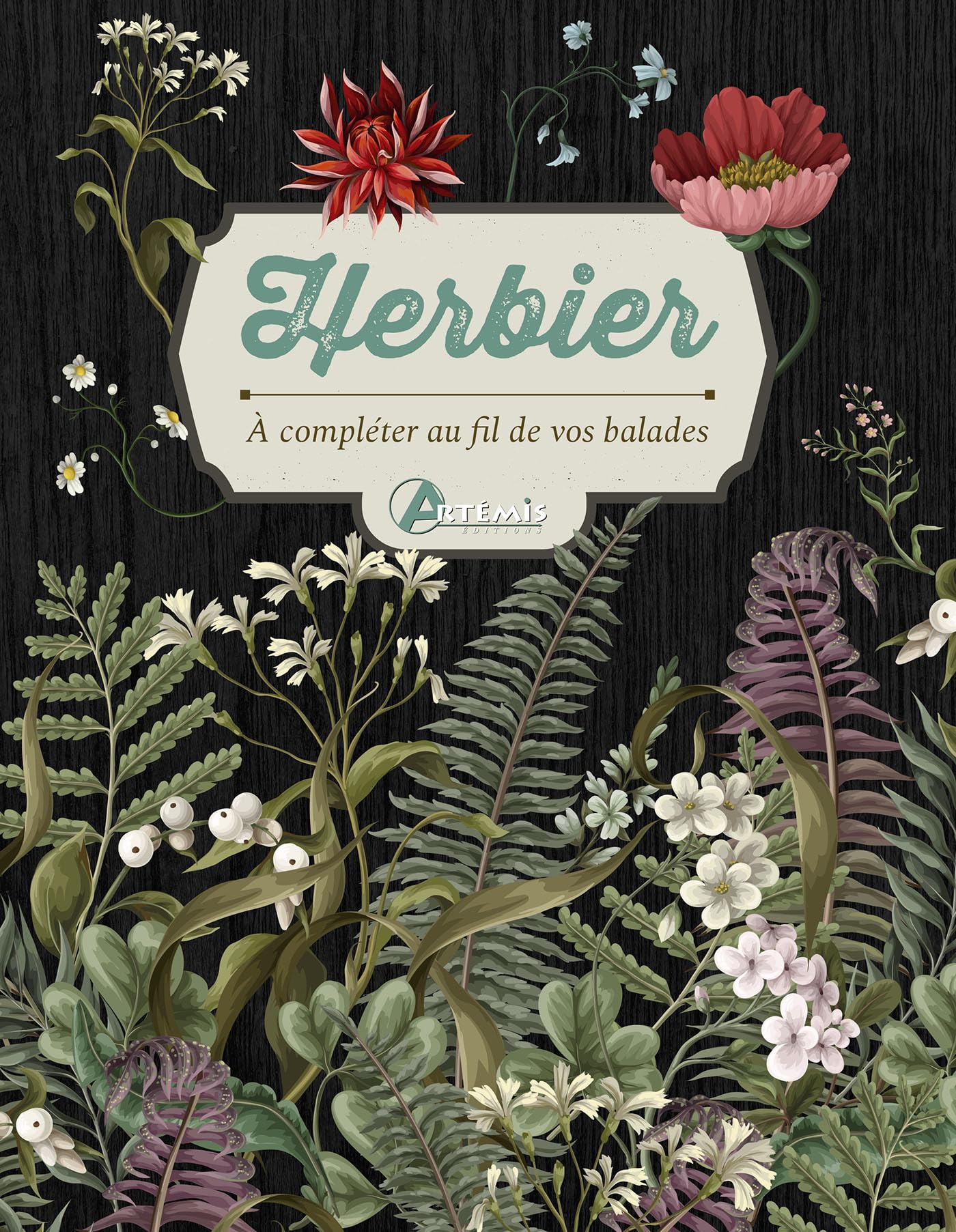 Herbier: à compléter au fil de vos balades