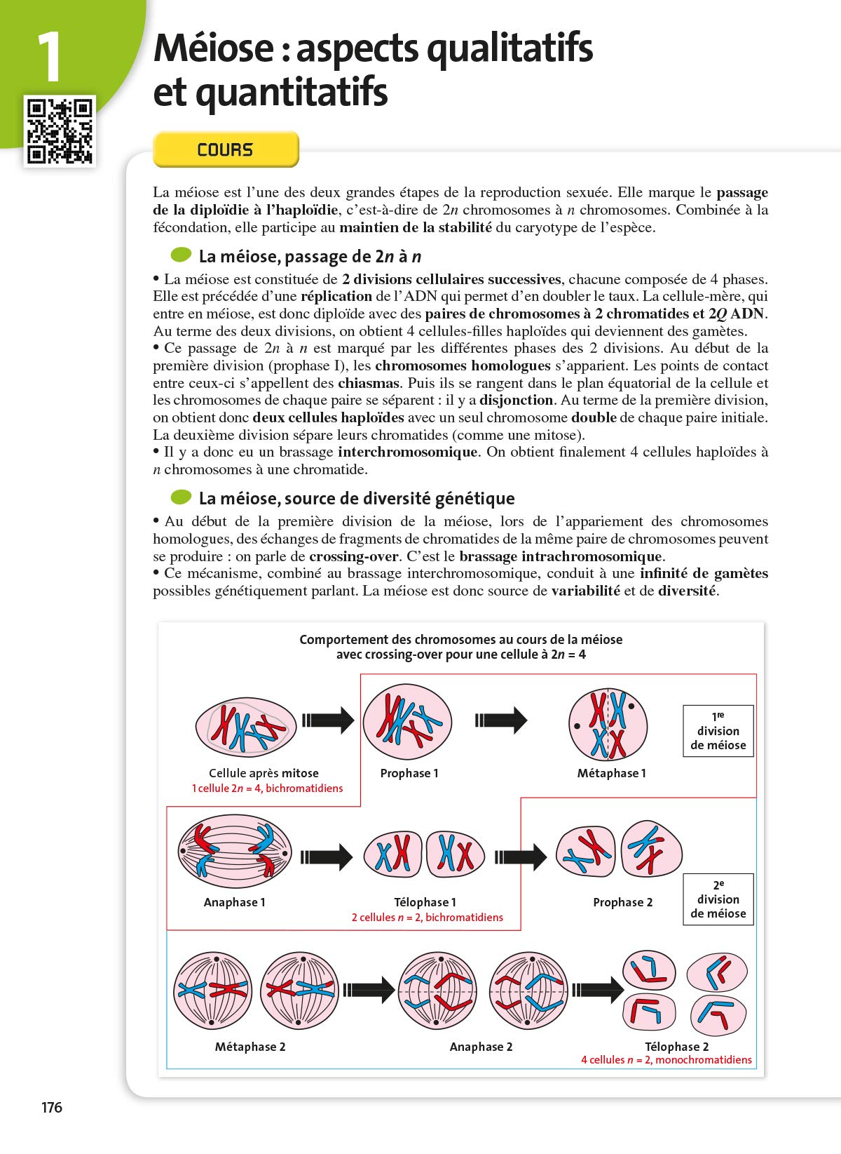 L'Année du Bac Term S - Tout pour Réussir