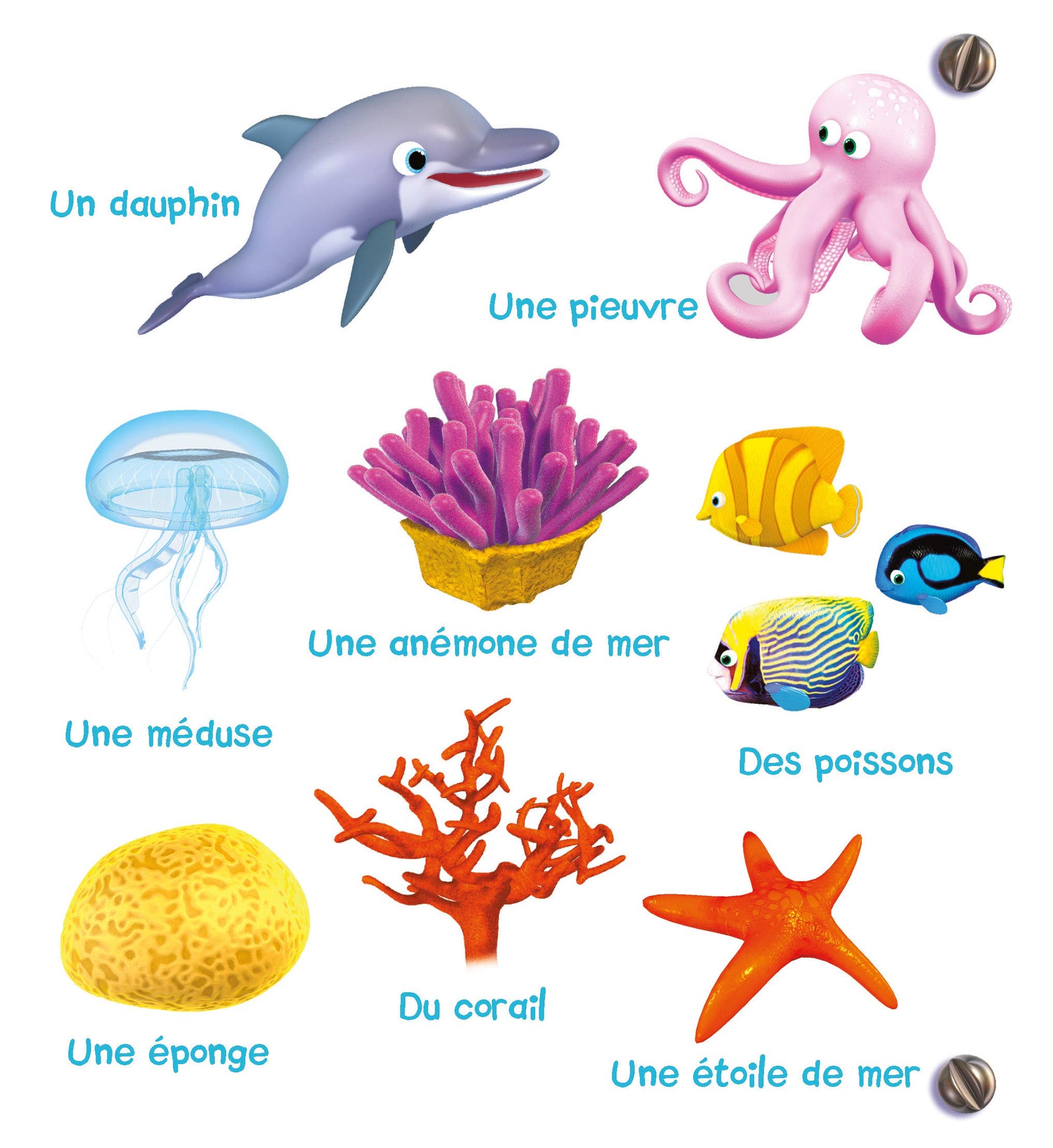 L'imagier de la mer - P'tit Garçon