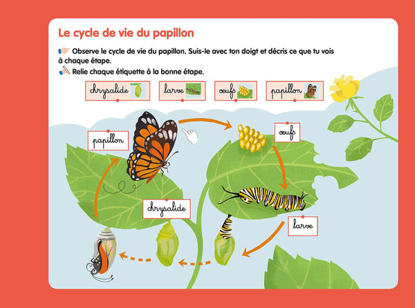 Les livres-ardoises - Les Cycles de vie Montessori