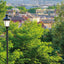 La nature s'invite en ville