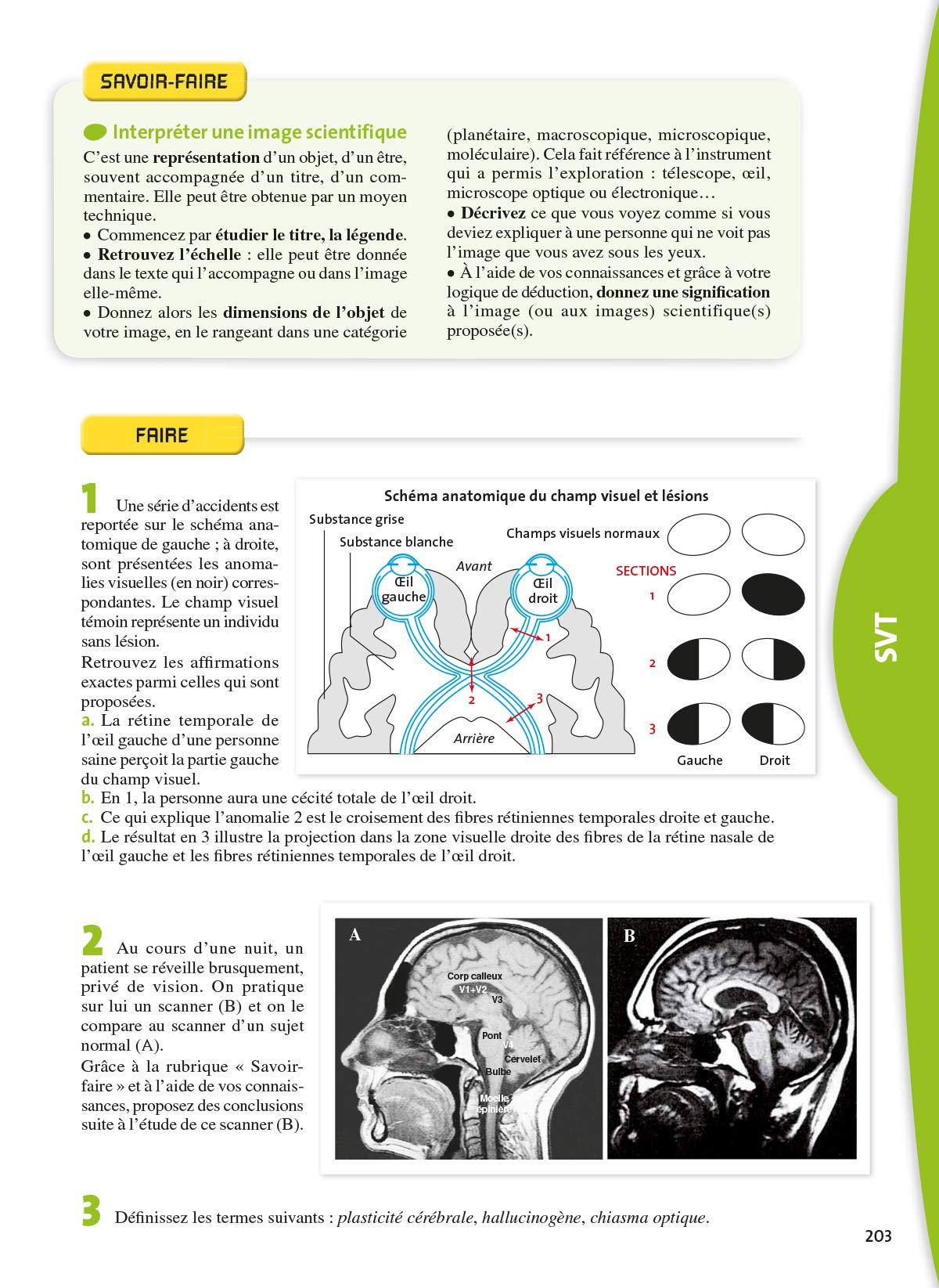 L'Anne de la 1re Es - Tout pour Réussir