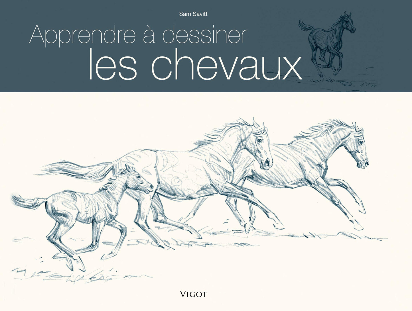 Apprendre à dessiner les chevaux