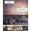 Metropolitan - Tome 1 - Borderline