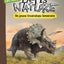 Un jeune tricératops téméraire