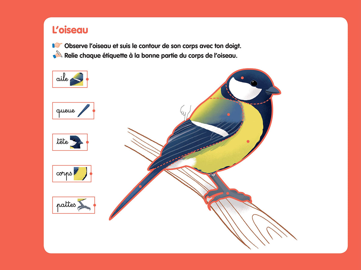 Les livres-ardoises - Je découvre les animaux Montessori
