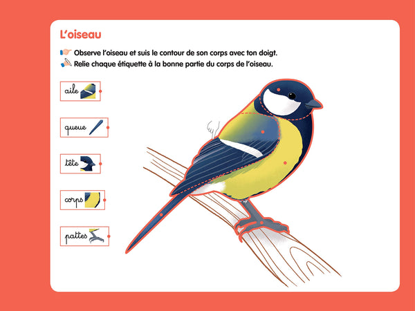 Les livres-ardoises - Je découvre les animaux Montessori