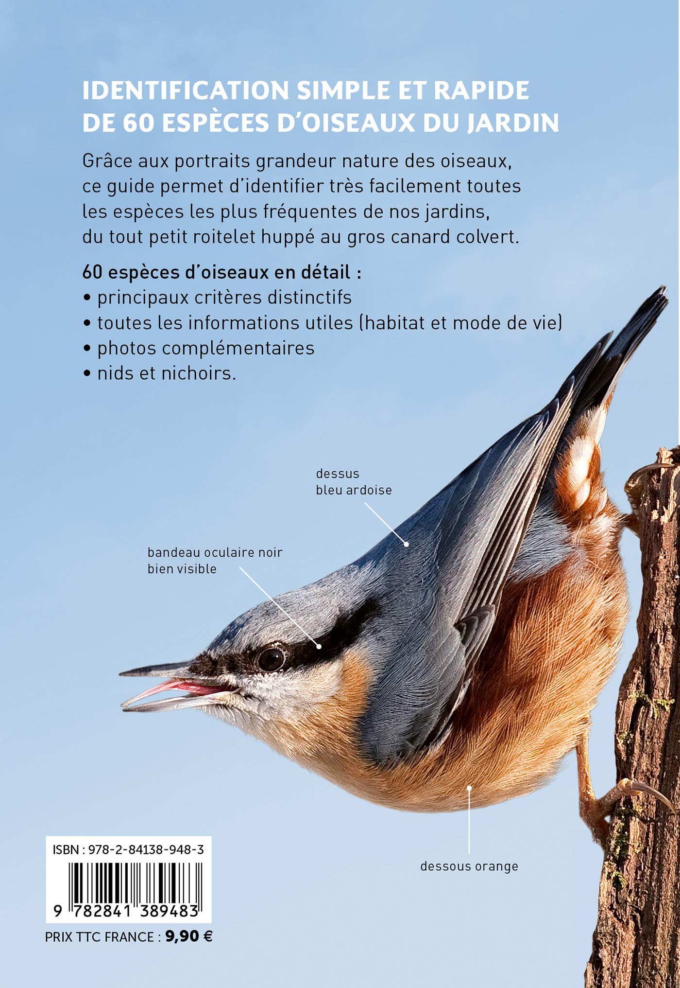 Reconnaître facilement les oiseaux du jardin - Photos grandeur nature