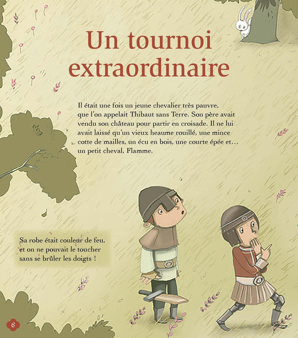 Histoires de princesses et de chevaliers