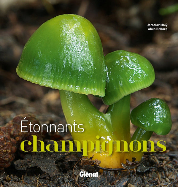 Etonnants champignons