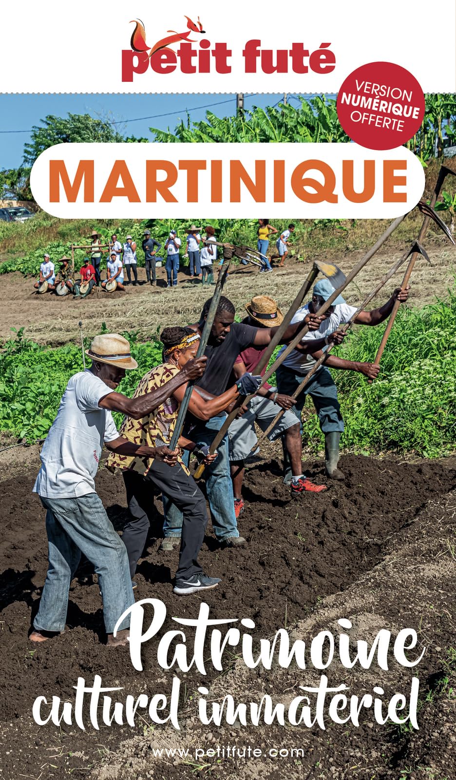 Guide Patrimoine Culturel Immateriel De La Martinique 2023/2024 Petit Futé (2023-2024)