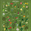 Beautés sauvages : flore