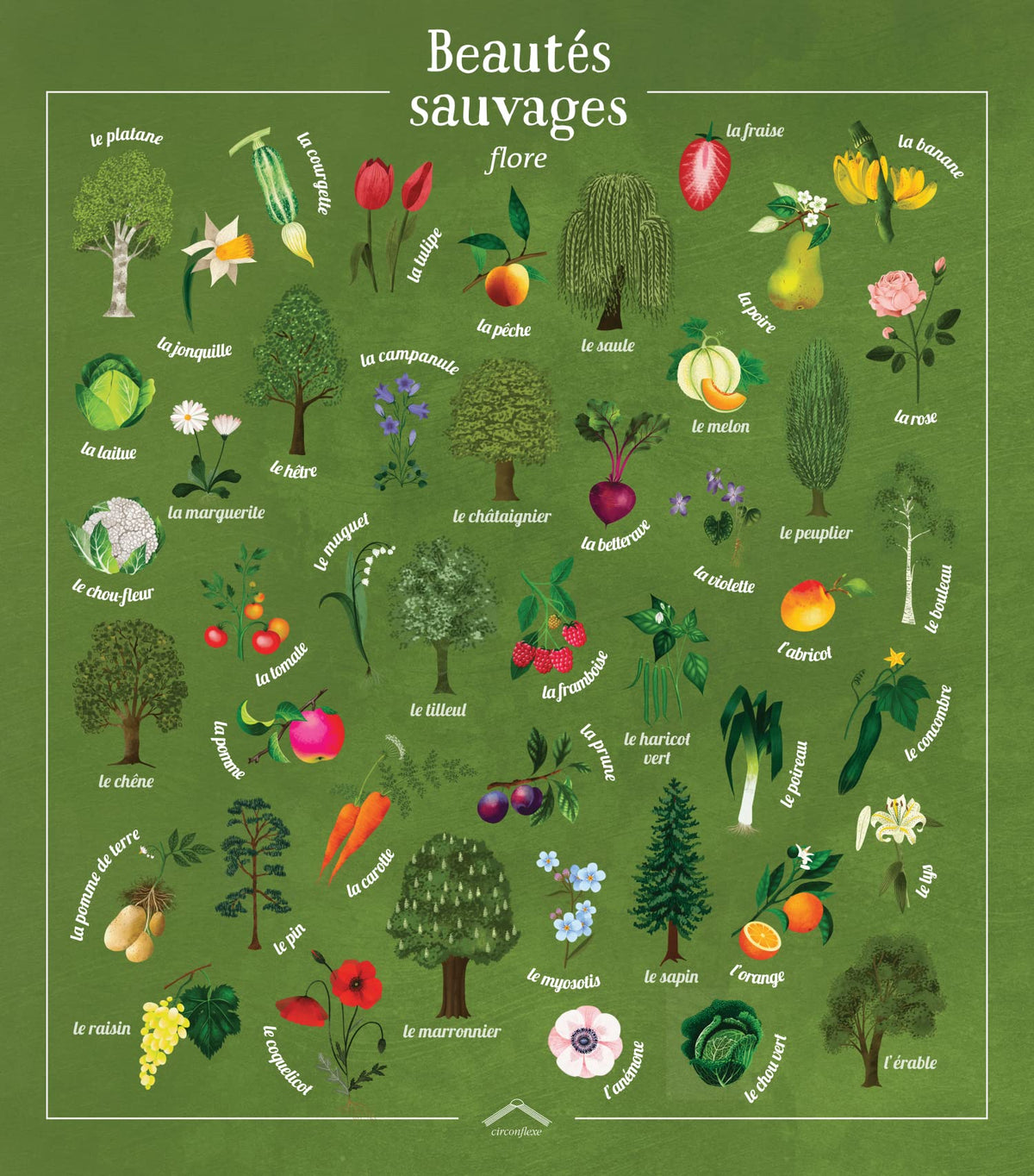 Beautés sauvages : flore