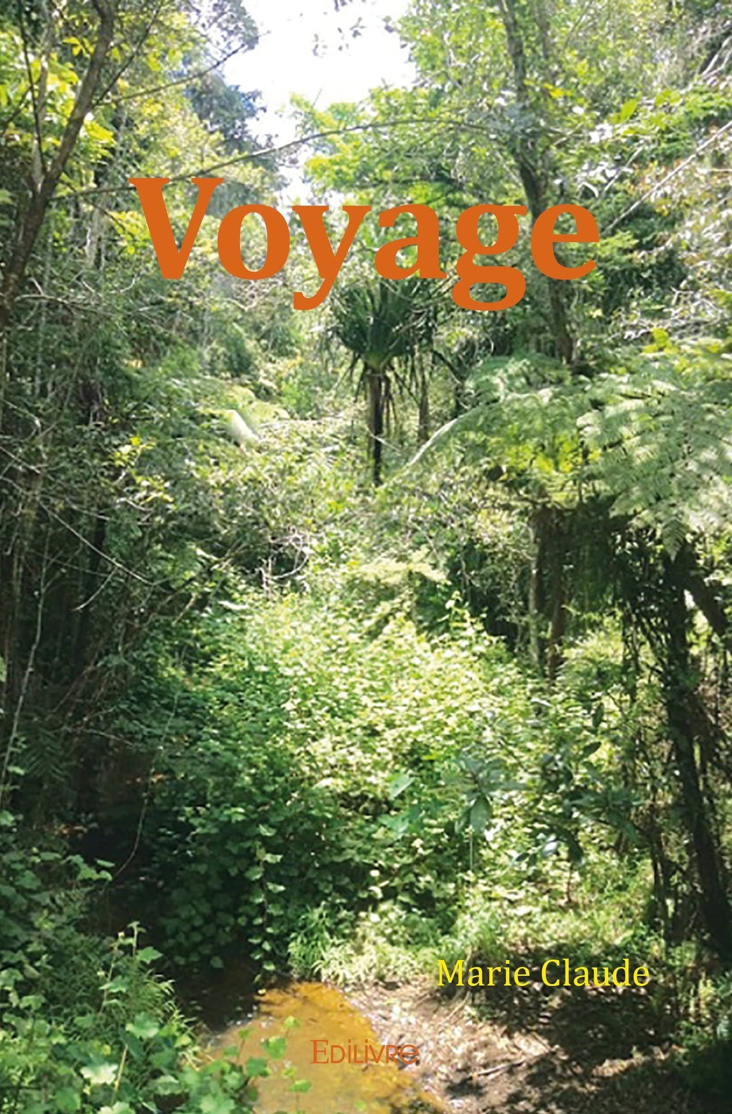 Voyage