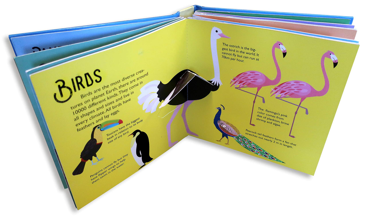 Animaux sauvages