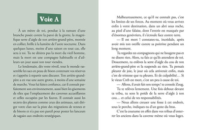 Deviens le héros : Le défi du silex
