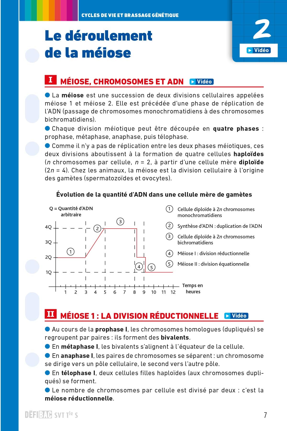 SVT spécifique et spécialité Tle S: Fiches de révision