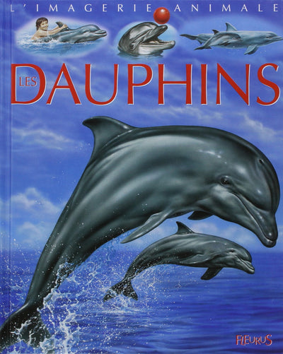 Dauphins