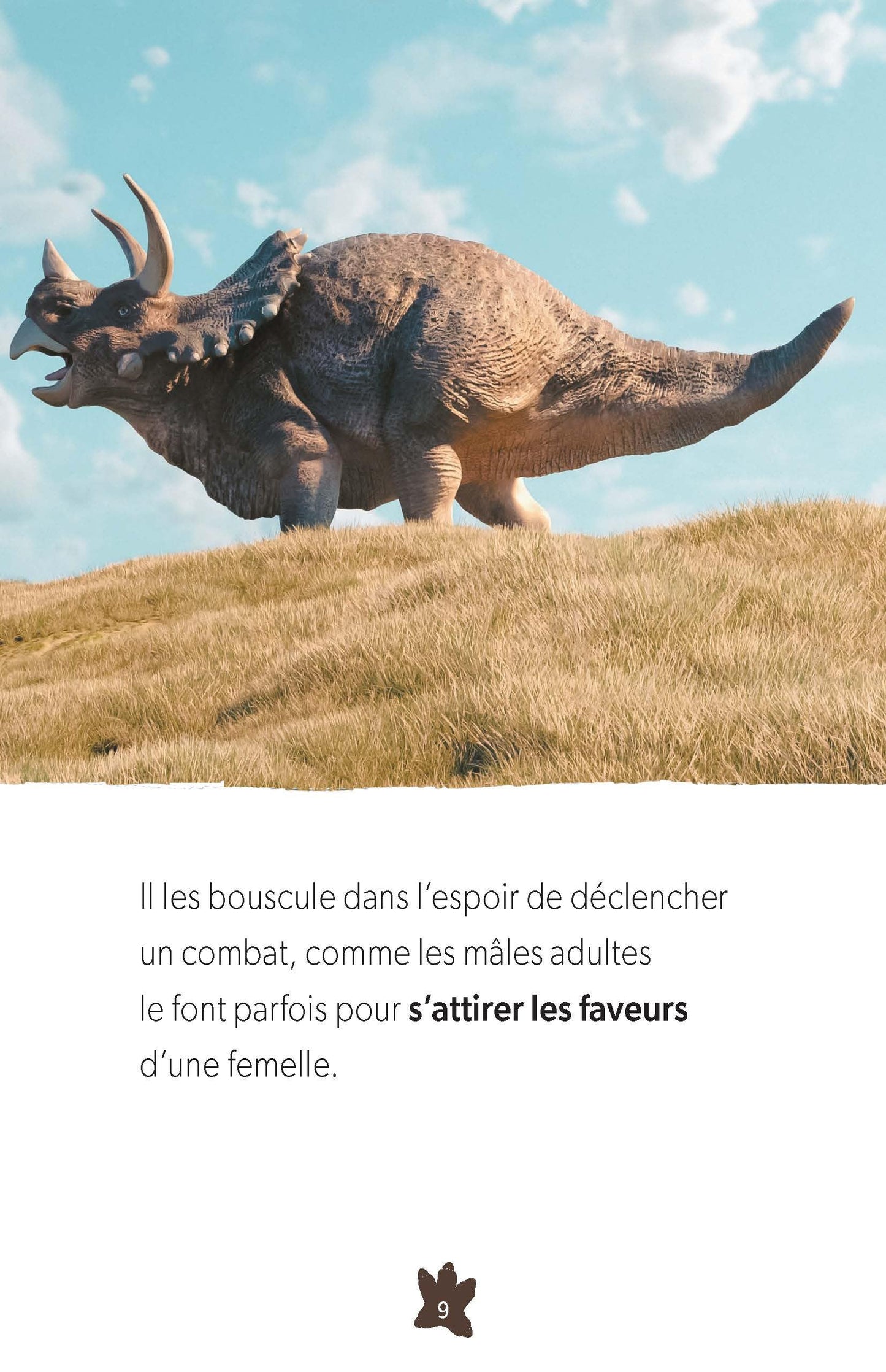 Un jeune tricératops téméraire